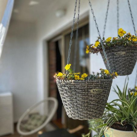Apartmani Mia Palit Dış mekan fotoğraf