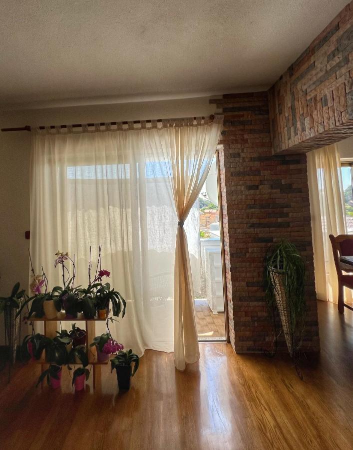 Apartmani Mia Palit Dış mekan fotoğraf